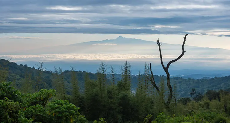 Parque Nacional del Monte Kenia