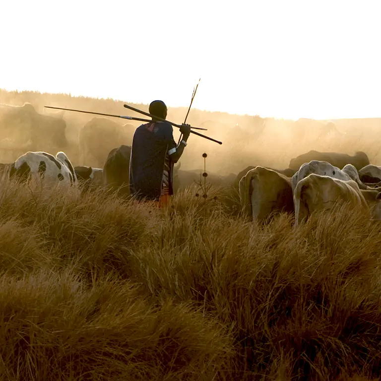 Viajes y safaris a Kenia