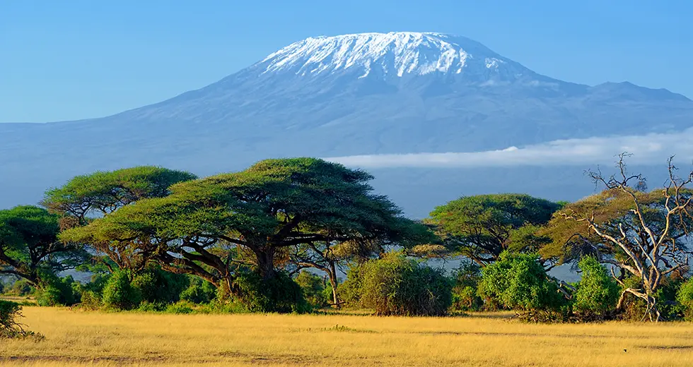 Kilimanjaro Safari en el Parque Nacional Kilimanjaro en Tanzania